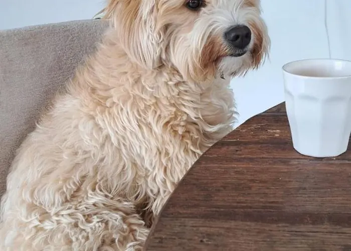 Quarto em Acomodações Particulares Casa Vive Tu Vida *